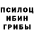 ГЕРОИН хмурый Circassian Mood