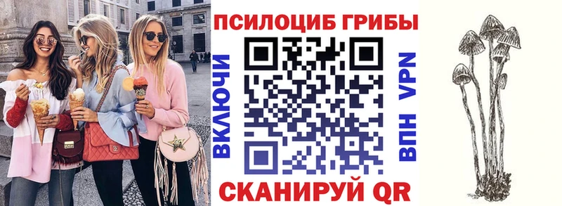 MEGA рабочий сайт Ярославль Галлюциногенные грибы Magic Shrooms